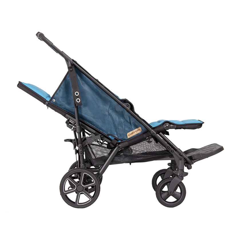 Patron special needs store buggy